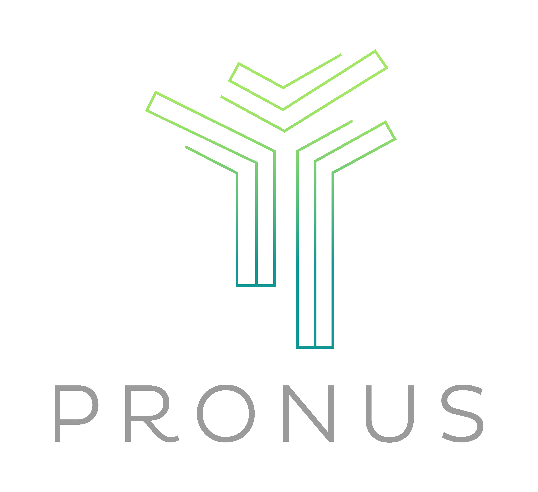 PRONUS S.A.S.